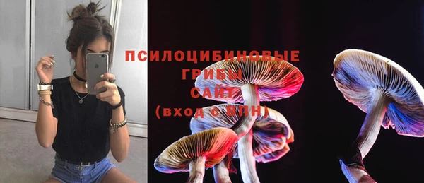 Альфа ПВП Апатиты