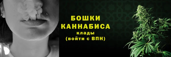 спиды Анива