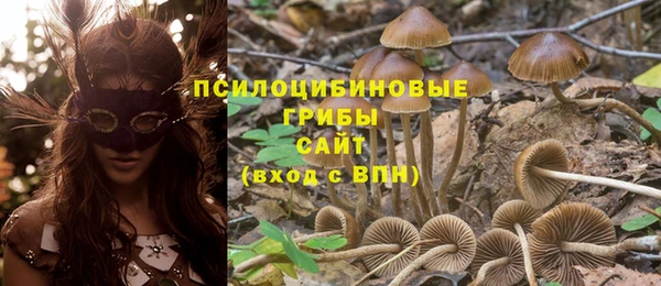 Альфа ПВП Апатиты