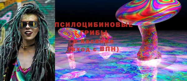 спиды Анива