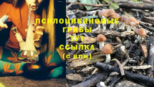 каннабис Анжеро-Судженск