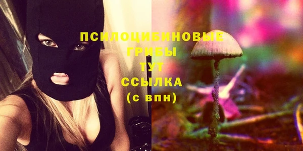 спиды Анива